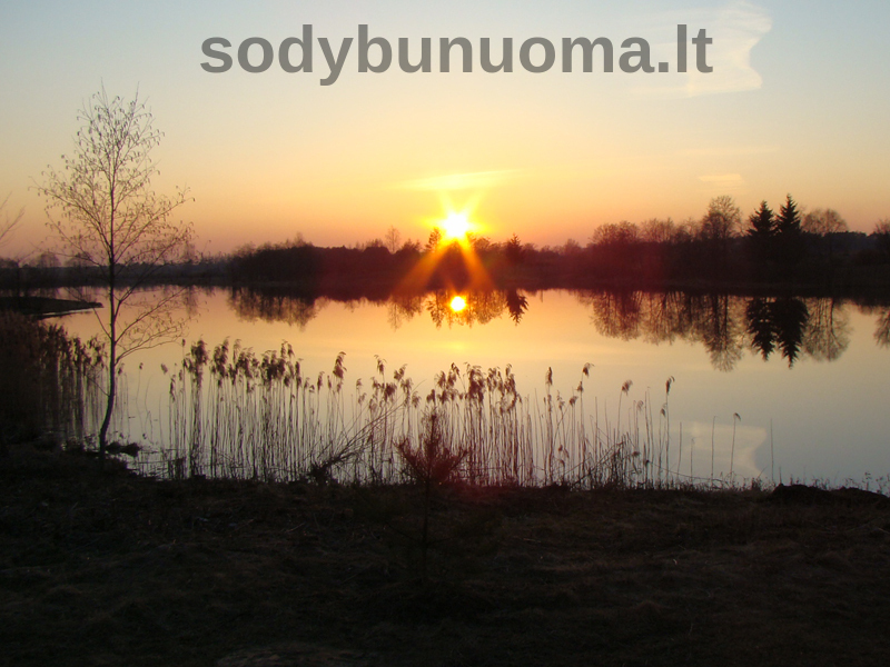 Stovyklavietė Vilkės slėnis