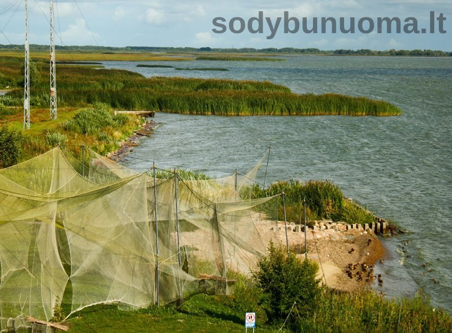 Ornitologinė stotis Ventės ragas