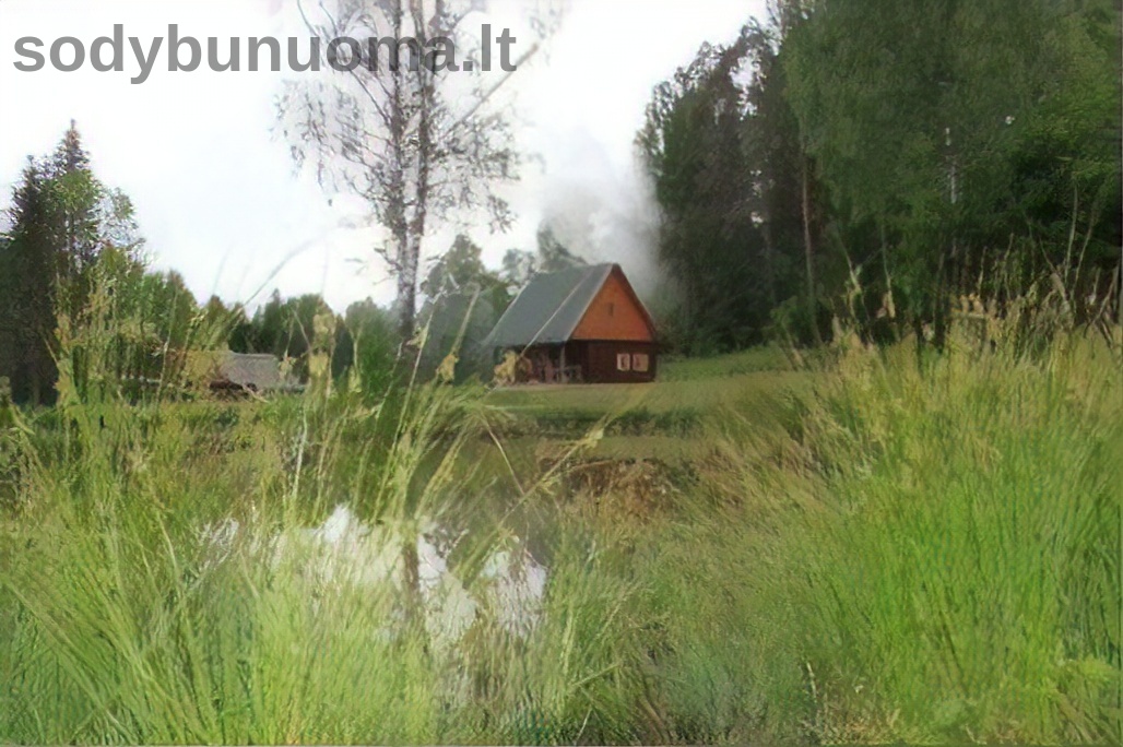 Rimos Godliauskienės sodyba