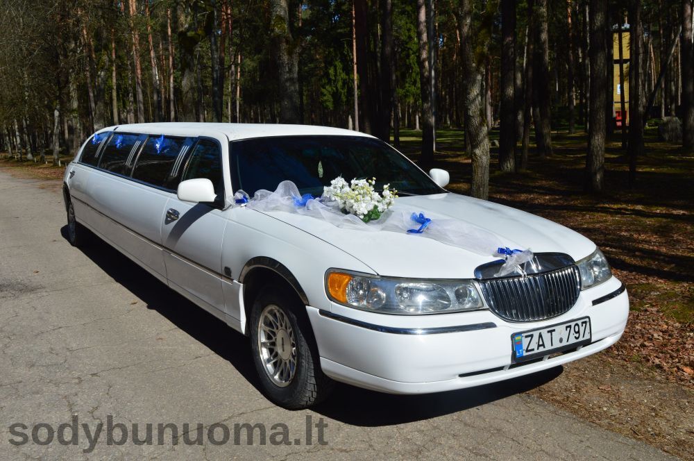 Limuzinai vestuvėms Panlima
