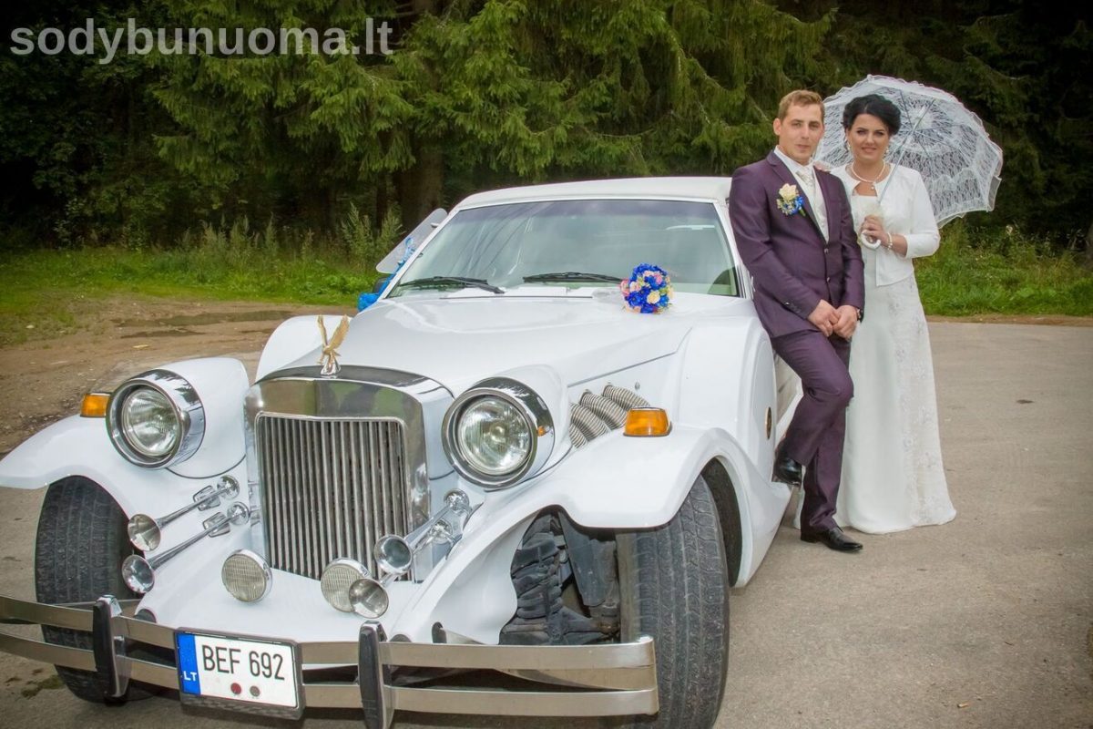 Vestuvių videografas Vidmantas